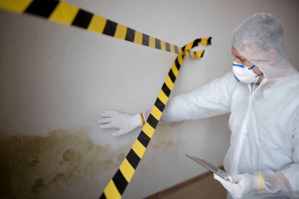 Best Mold removal after water damage  in Watertown, SD