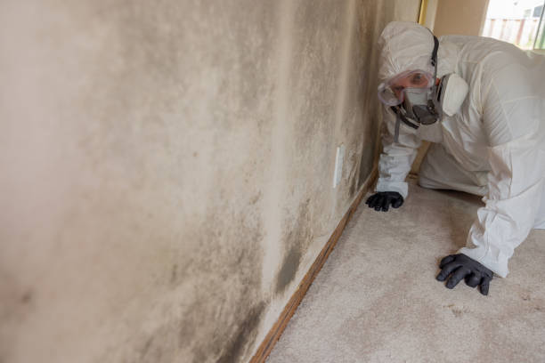 Water damage restoration mold remediation in Watertown, SD